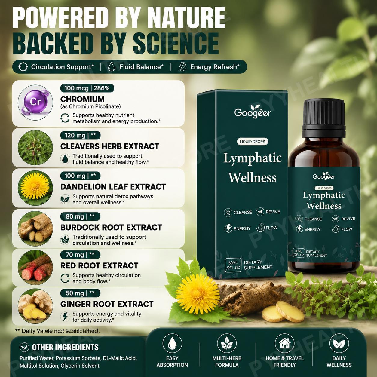 Lymphatic Wellness Liquid Drop – Herbal Wellness Liquid recenzja i cena