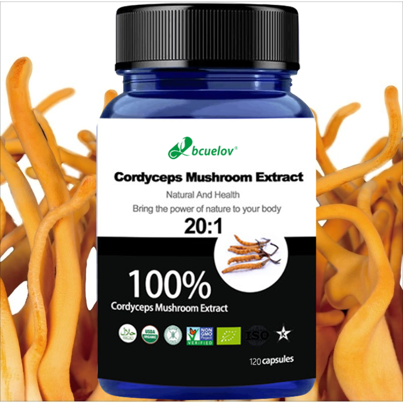 Cordyceps Mushroom Extract Cap – Herbal Wellness Water recenzja i cena
