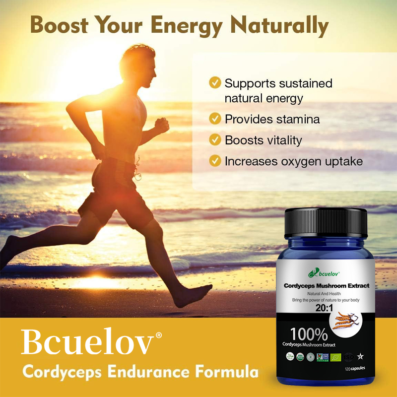 Cordyceps Mushroom Extract Cap – Herbal Wellness Water recenzja i cena