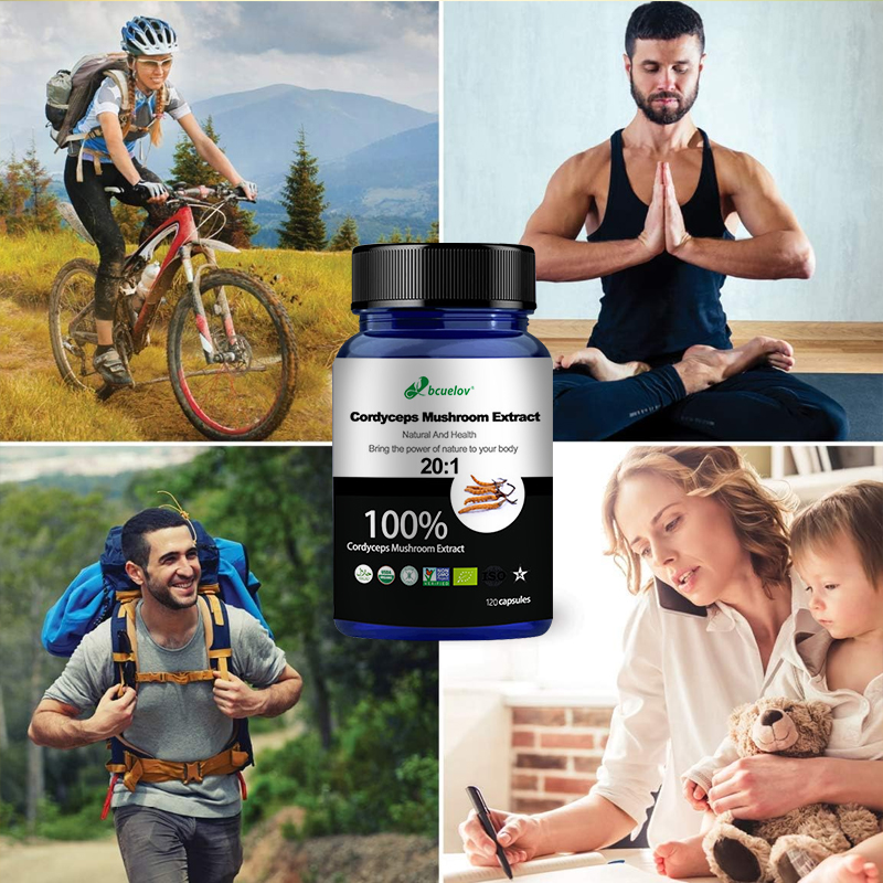 Cordyceps Mushroom Extract Cap – Herbal Wellness Water recenzja i cena